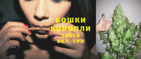 гашик Иннополис