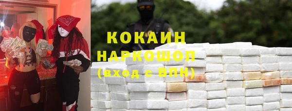 мдпв Инсар