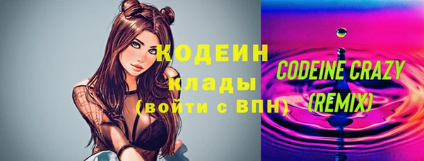 мдпв Инсар