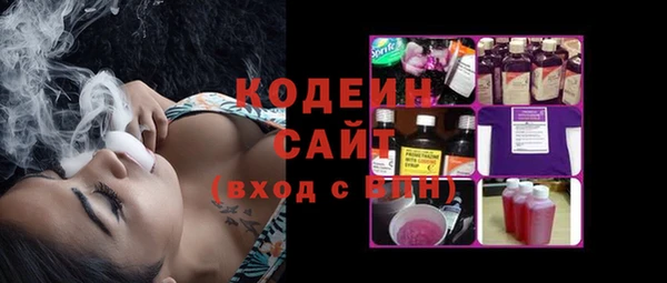 гашик Иннополис