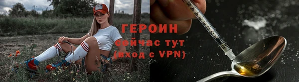 мдпв Инсар