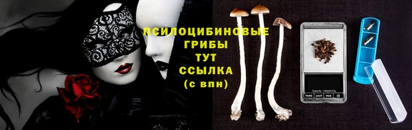 гашик Иннополис