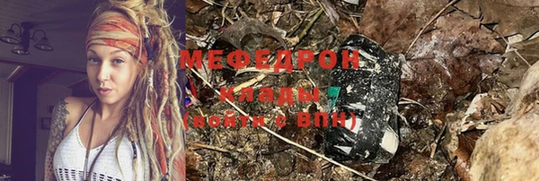 мдпв Инсар