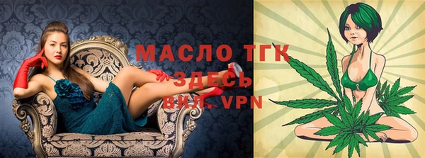 мдпв Инсар
