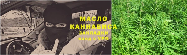 мдпв Инсар
