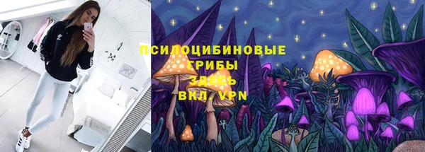 мдпв Инсар
