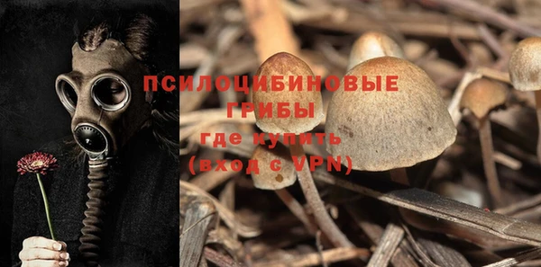 гашик Иннополис