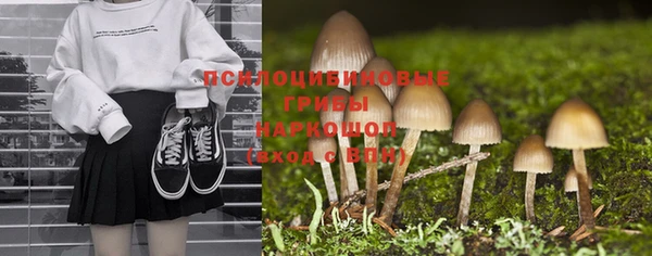 мдпв Инсар