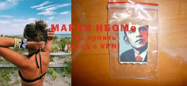 мдпв Инсар