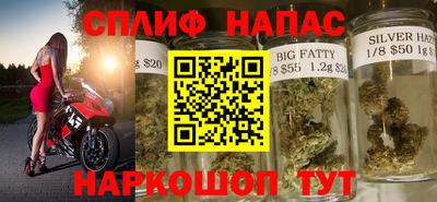 дживик Камышлов