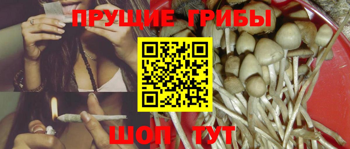 Лабытнанги  Псилоцибиновые грибы Psilocybe  Вход с VPN 